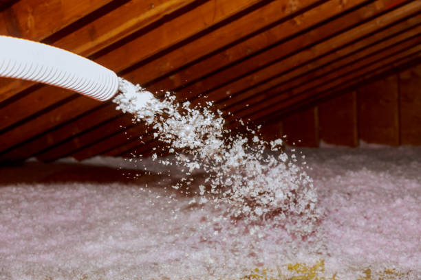 Best Commercial Insulation in Fort Meade, FL