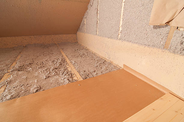 Best Insulation Maintenance and Repair in Fort Meade, FL