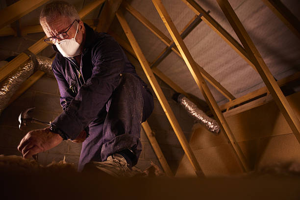 Best Geographic-Specific Insulation Services in Fort Meade, FL